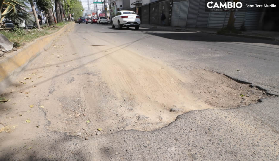 bache en boulevares 1.jpg