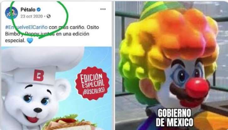 bimbo osito bimbo reaparece.jpg