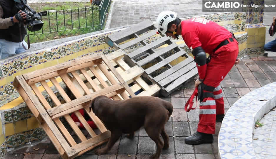 cruzroja exi.jpg1.jpg