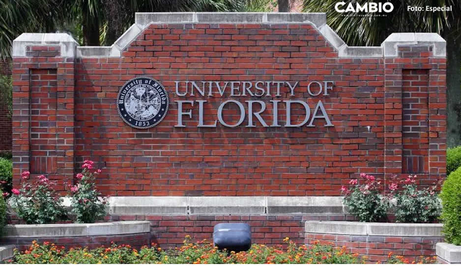 int university of florida.jpg