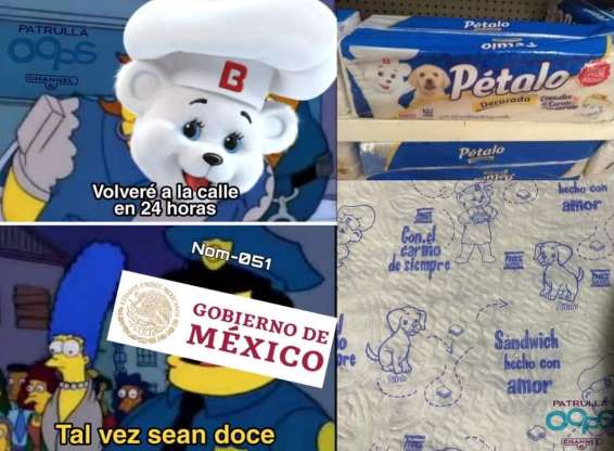 memes osito bimbo imagenes.jpg
