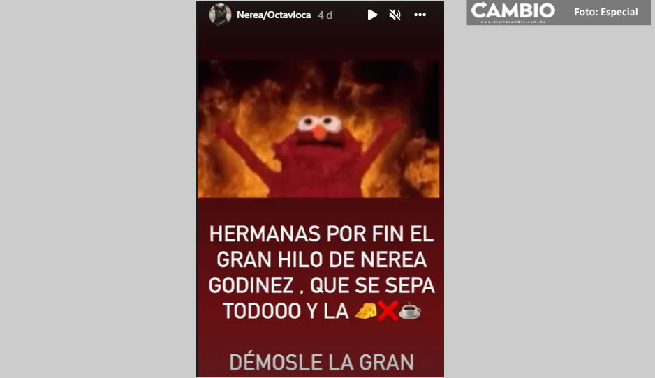nerea1.jpg