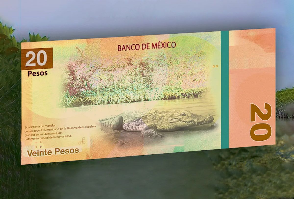 nuevo-billete-20-pesos.jpg