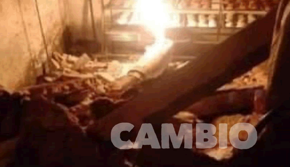panaderia1.png