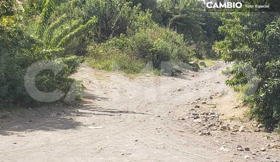 ¡De terror! Localizan cinco cadáveres con huellas de violencia cerca del Popocatépetl