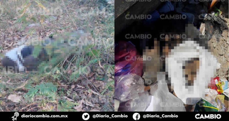 De terror: Puebla cierra  2020 con 108 feminicidios