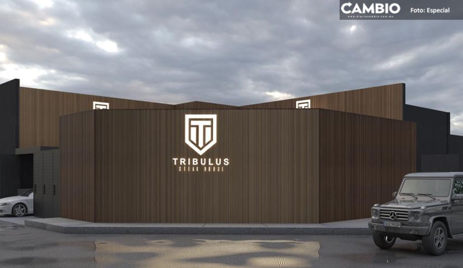 Renace la esperanza: empresarios poblanos invierten para abrir el restaurante Tribulus