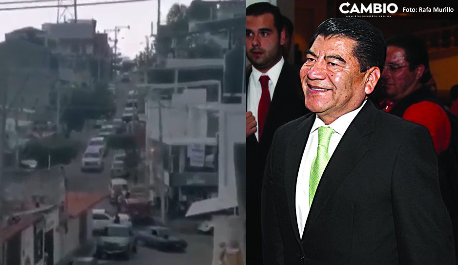 Lejos de Acapulco Diamante y del glamour: el precioso cayó en una colonia humilde del puerto (VIDEO)