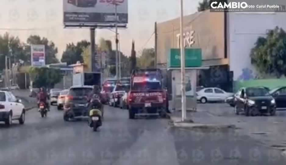 ¡Adiós chelitas! Embargan bar El Tigre de La Noria (VIDEO)