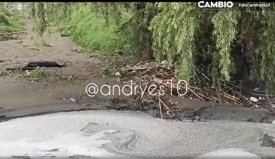 Hallan cadáver a un costado del Río Atoyac a la altura de Angelópolis (VIDEO)