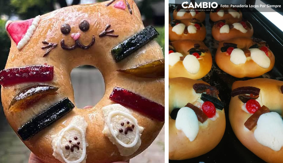 ¡Qué ternura! Michirosca de reyes vegana, enloquece las redes