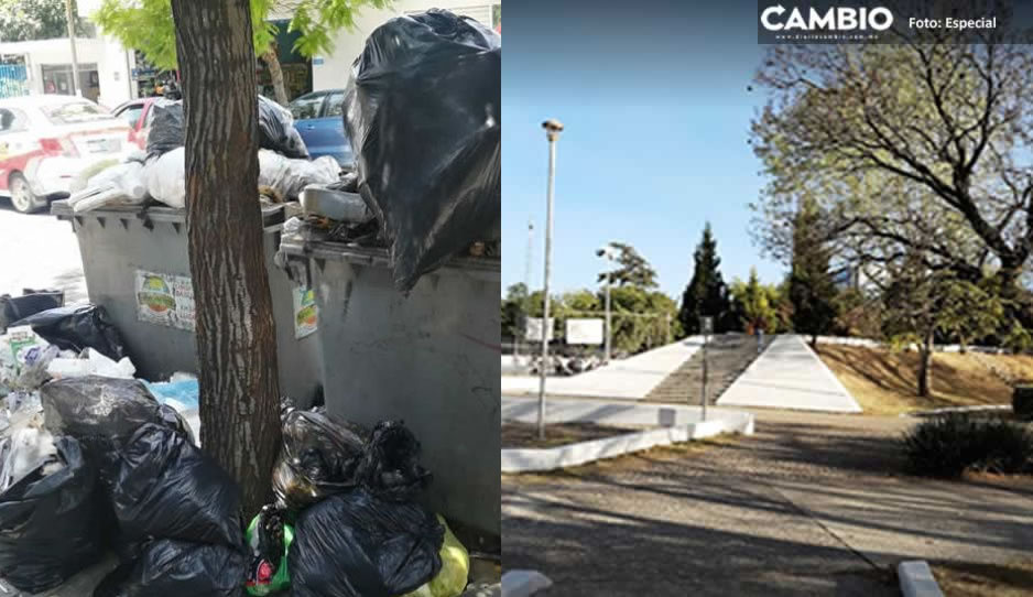 Abandonan restos humanos en bolsa de basura en Parque de las Ninfas