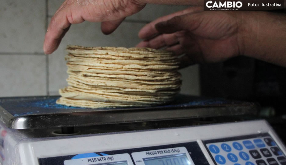 Maseca y Minsa aumentaron precios de hasta mil 500 pesos en harina de maíz sin precedentes: Tortilleros