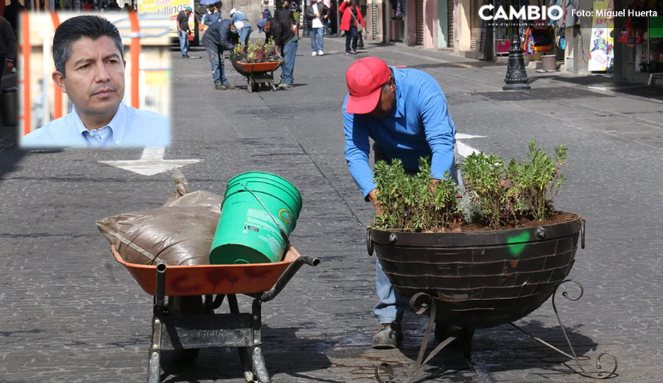 A Lalo le valen los comerciantes; siguen analizando peatonalizar la Calle de los Dulces