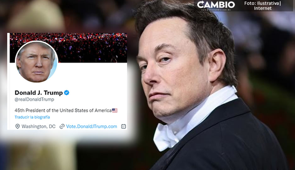 “La gente ha hablado”: Elon Musk reactiva cuenta de Twitter de Trump