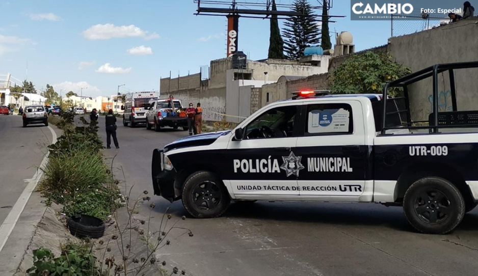 ¡Cadáveres por todos lados! Hallan restos putrefactos en la México-Puebla a la altura de Villa Frontera