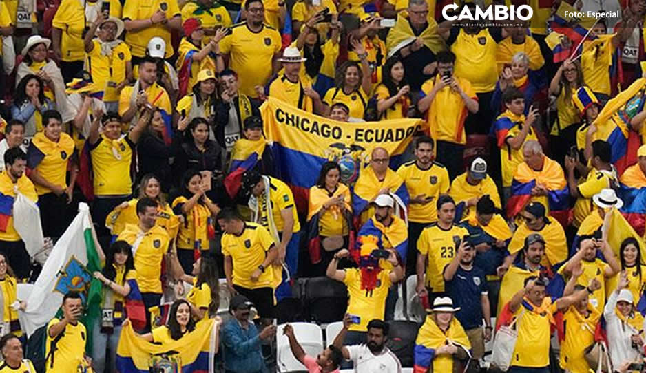 Aficionados ecuatorianos piden cerveza durante partido ante Qatar (VIDEO)