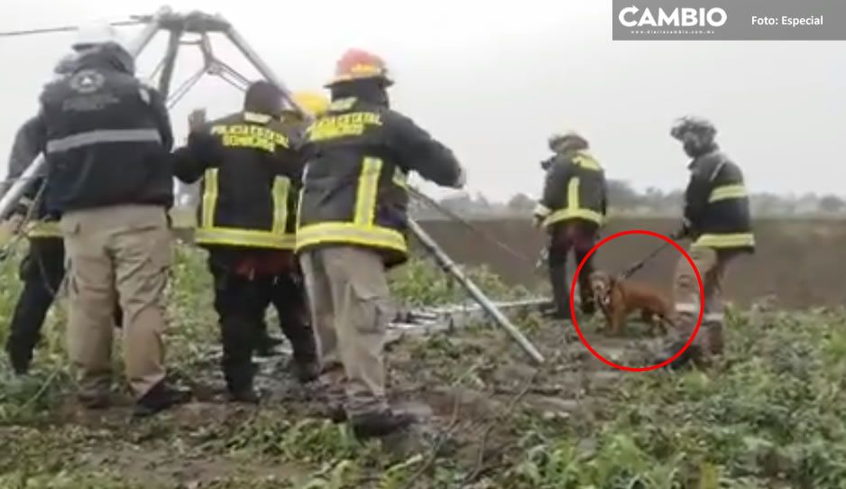 EN VIVO: ¡Milagro en el socavón! Rescatan a lo perritos Spay y Spike en Juan C. Bonilla