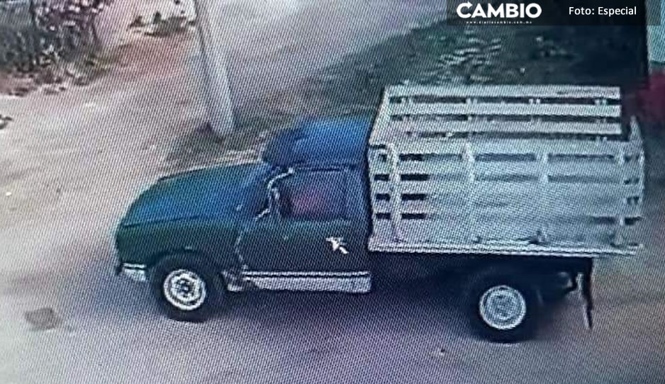 Con lujo de violencia roban camioneta cargada de pollos sobre la Puebla-Tehuacán