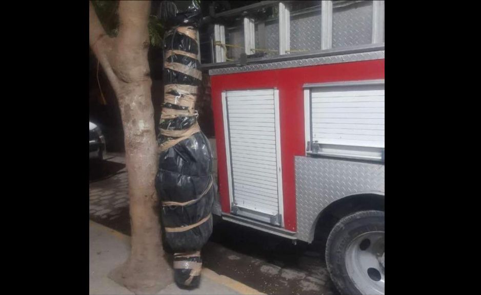 Broma de mal gusto: cuelgan bulto en forma cuerpo humano en árbol de Tehuacán