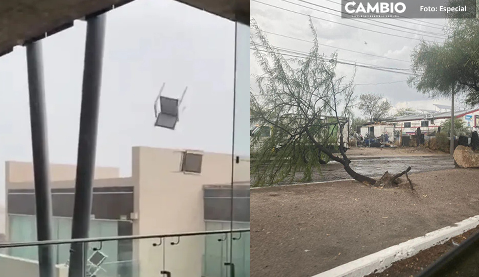 VIDEO: Sillas voladoras en Hermosillo y árboles caídos ante fuertes vientos