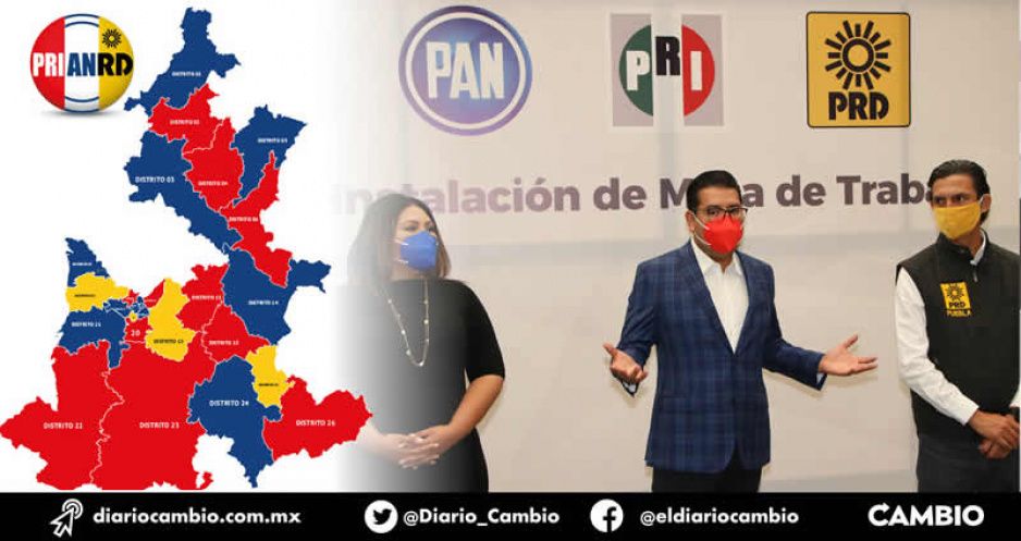 PRIANRD se amarra en diputaciones pero se divorcia en las contiendas municipales (VIDEO)