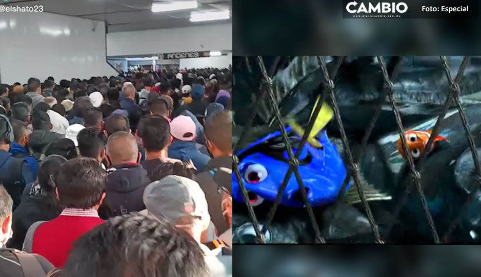 ¡México mágico! Metro se atiborra y pasajeros recrean escena de &#039;Buscando a Nemo&#039; (VIDEO)