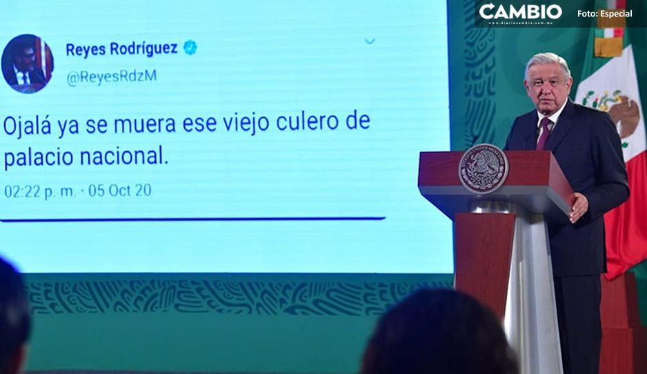 &#039;Ojala se muera&#039;: AMLO muestra tuit de Reyes Rodríguez tras ser nombrado presidente del TEPJF