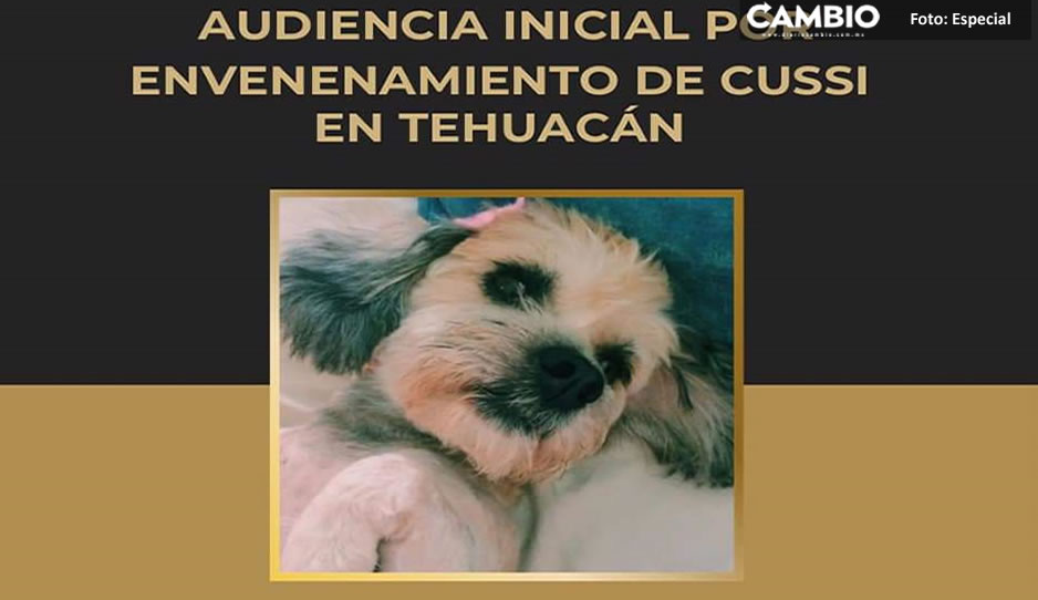 ¡Justicia para lomito Cussi! Se realiza la primera audiencia en contra del maltrato animal en Tehuacán