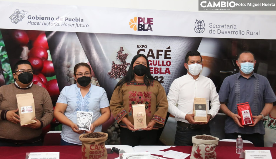 Puebla primer lugar nacional en producción de café: se cosechan 3.5 de toneladas por hectárea (VIDEO)
