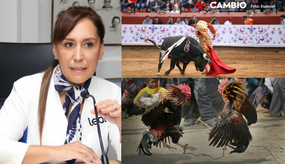 Amenazan a Lupita Leal por iniciativa para prohibir la tauromaquia y peleas de gallo