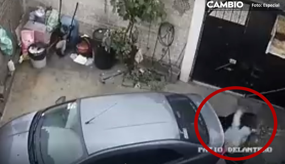 VIDEO: Hombre es tragado por mini socavón que se abrió en el patio de su casa
