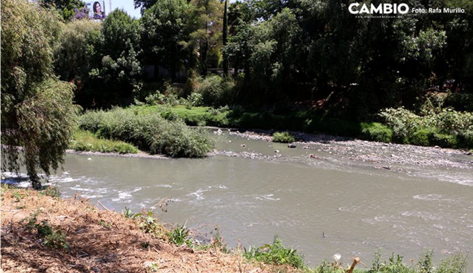 Huejotzingo y Tlaxcala, los que más contaminan el río Atoyac