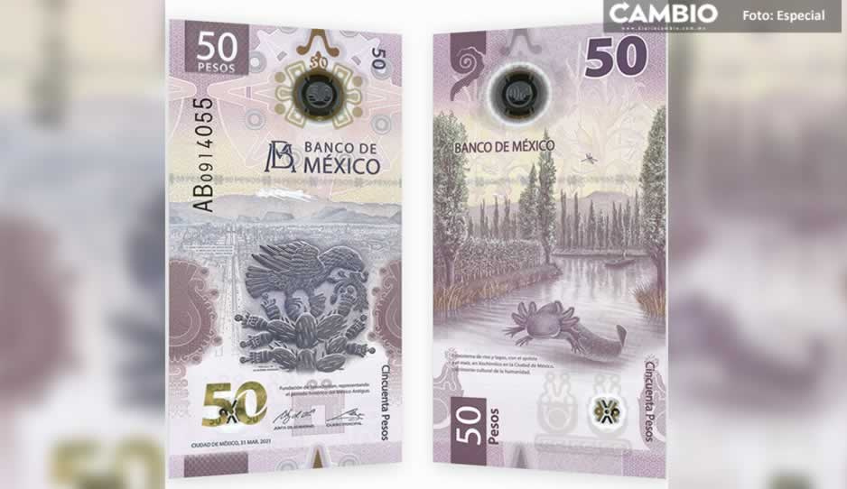 ¡Lo logró el ajolote! Billete de 50 pesos gana premio al mejor diseño del mundo