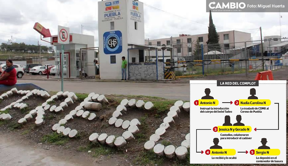 Paso a paso de cómo sembraron al bebé Tadeo en el penal de San Miguel