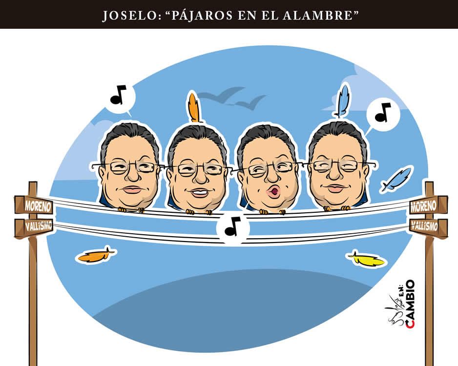 Monero Joselo: JOSELO: “PÁJAROS EN EL ALAMBRE”