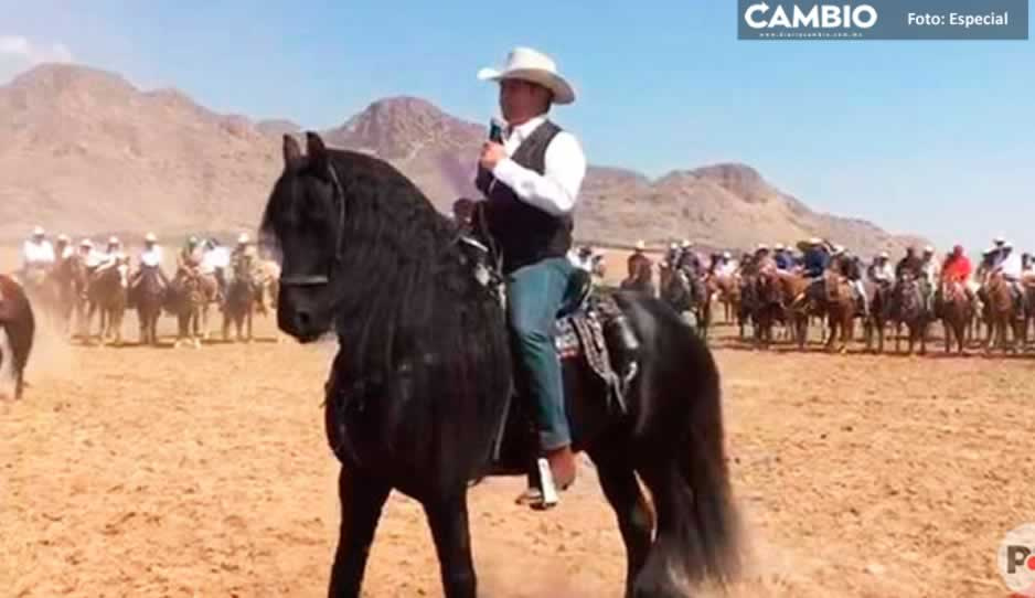 Él es “Tornado” el caballo de &#039;El Bronco&#039; valuado en 250 mil dólares