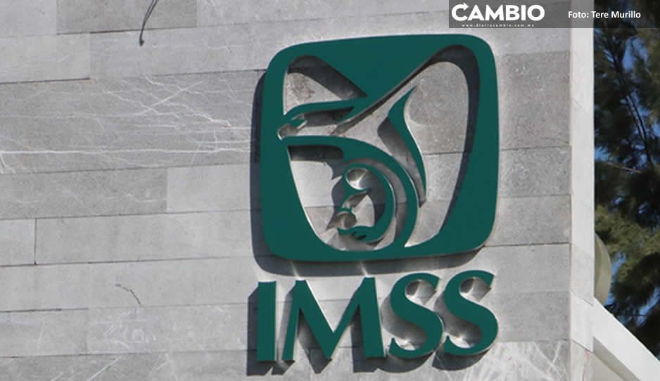 Gana VW al IMSS un juicio por 250 millones de pesos