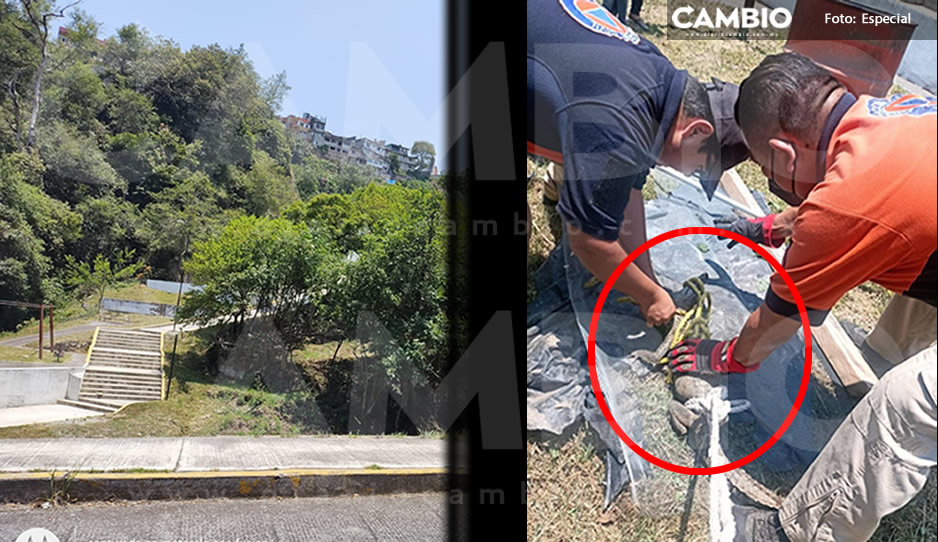 Pánico en Teziutlán: Capturan y rescatan a cocodrilo que deambulaba en la barranca del Barrio La Gloria