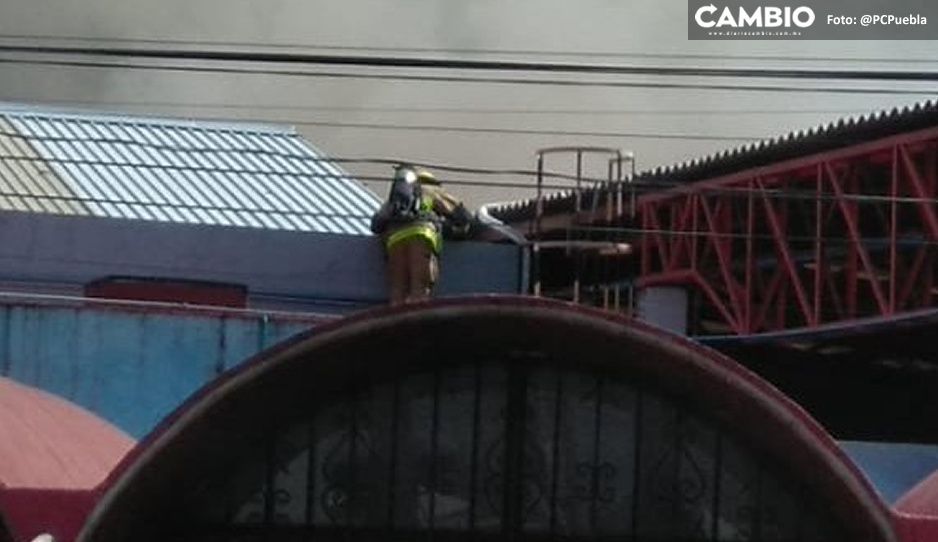 Héroe sin capa: a bombero se le cae el techo de fábrica textil al intentar sofocar el fuego (VIDEO)