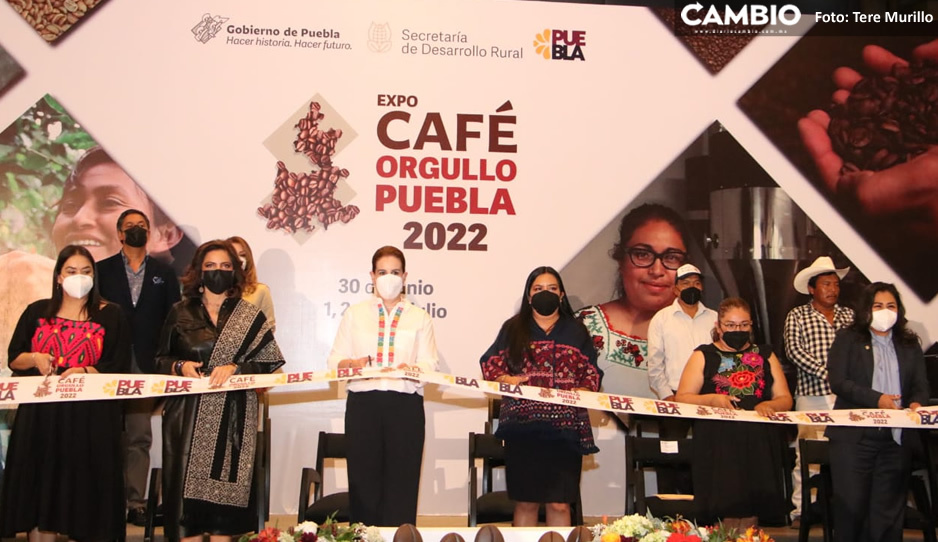 SDR estima producción de 237 mil toneladas de café en Puebla para el periodo 2021-2022 (VIDEO)