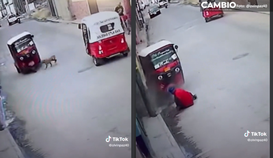 Perrito se vuelve viral tras voltear un mototaxi (VIDEO)