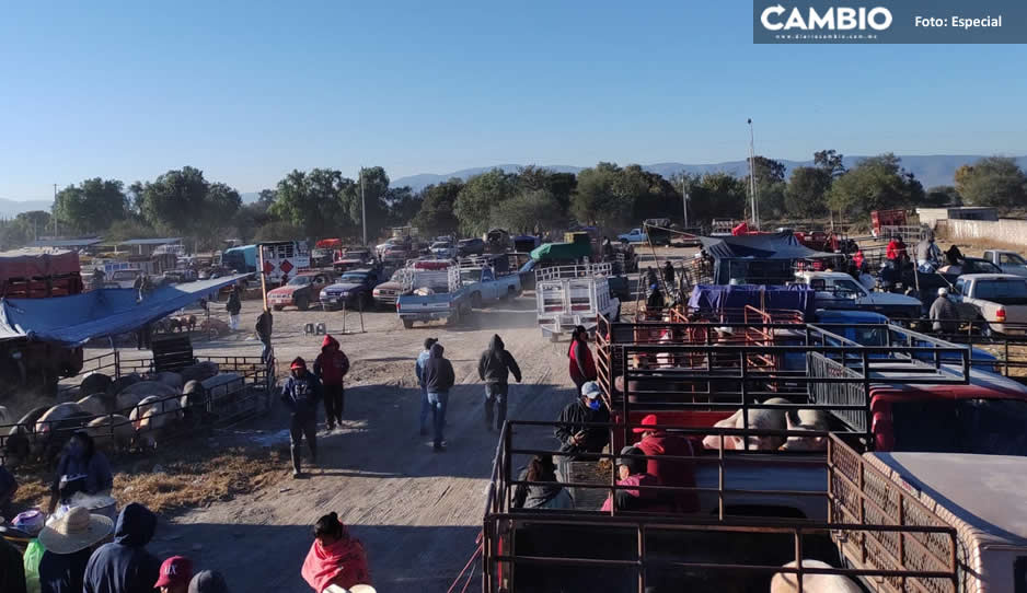 Ganaderos acusan al edil de Tlacotepec de querer cobrar derecho de piso en el tianguis de los lunes