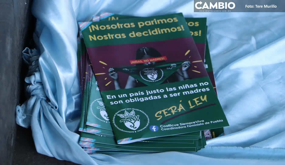 Llega a comisiones iniciativa para despenalizar el aborto, diputados lo votarán ante de irse