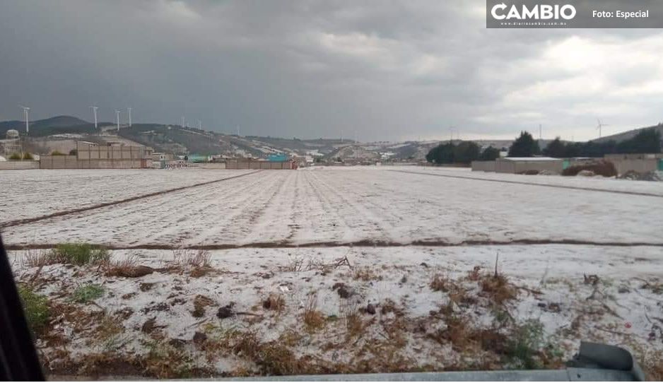Fuerte granizada azota en Esperanza; campesinos reportan afectaciones en sus cultivos