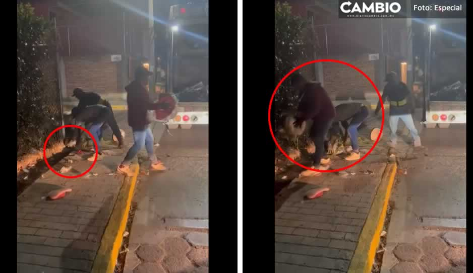 Gente de Paola Angón recolecta basura sin guantes ni uniforme en San Pedro Cholula (VIDEO)