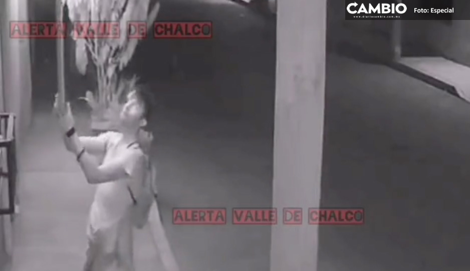 ¡El Grinch de Valle de Chalco! Hombre se roba las luces navideñas (VIDEO)