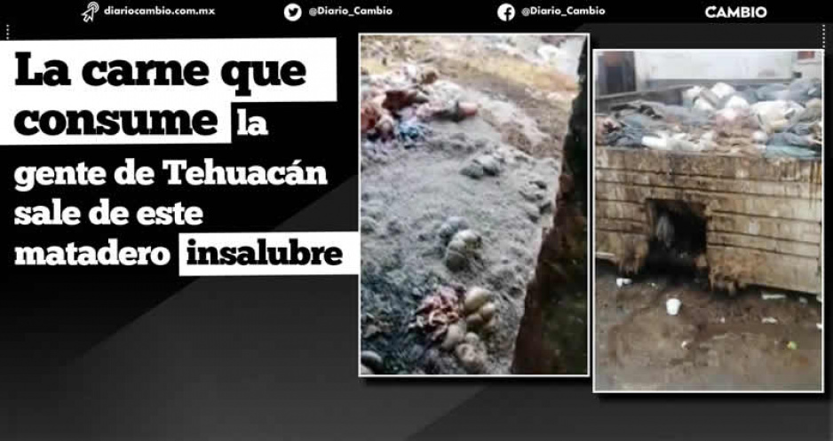 El colmo en Tehuacán: Rastro Municipal opera entre restos deanimales y gusanos, ante la falta de recolección de los desechos (VIDEO)