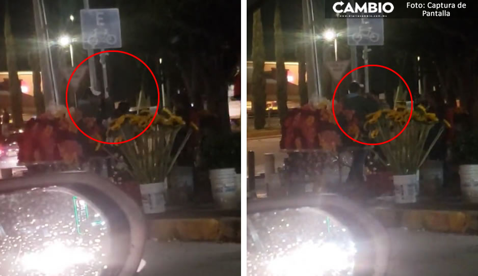 VIDEO: ¡Qué poca! Vendedores de flores quitan señalética para poner su puesto en Bulevar Atlixco