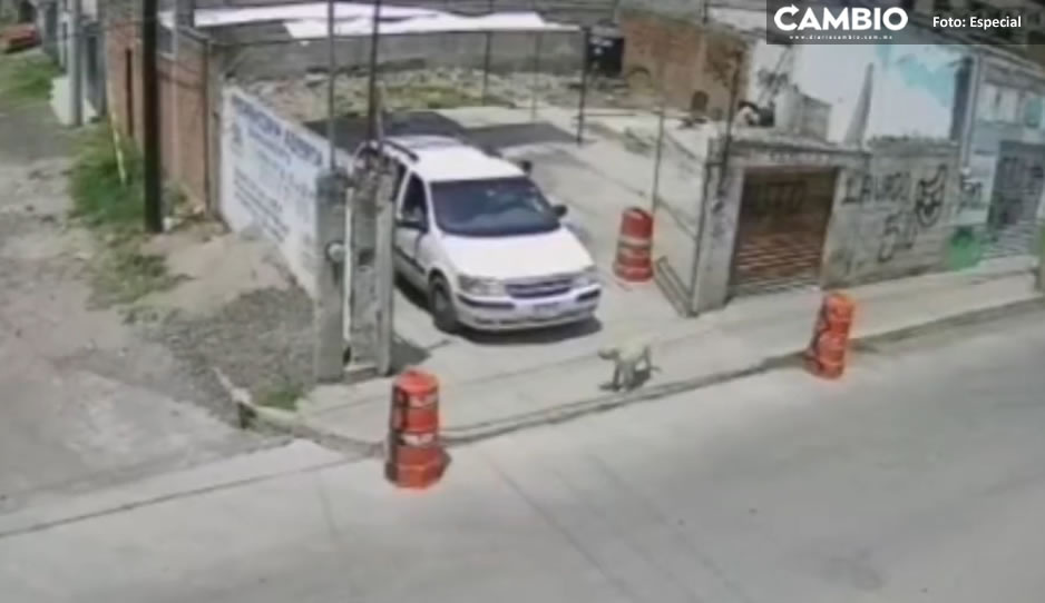 VIDEO: Asaltantes golpean a encargado de autolavado en la Guadalupe Hidalgo para robarle
